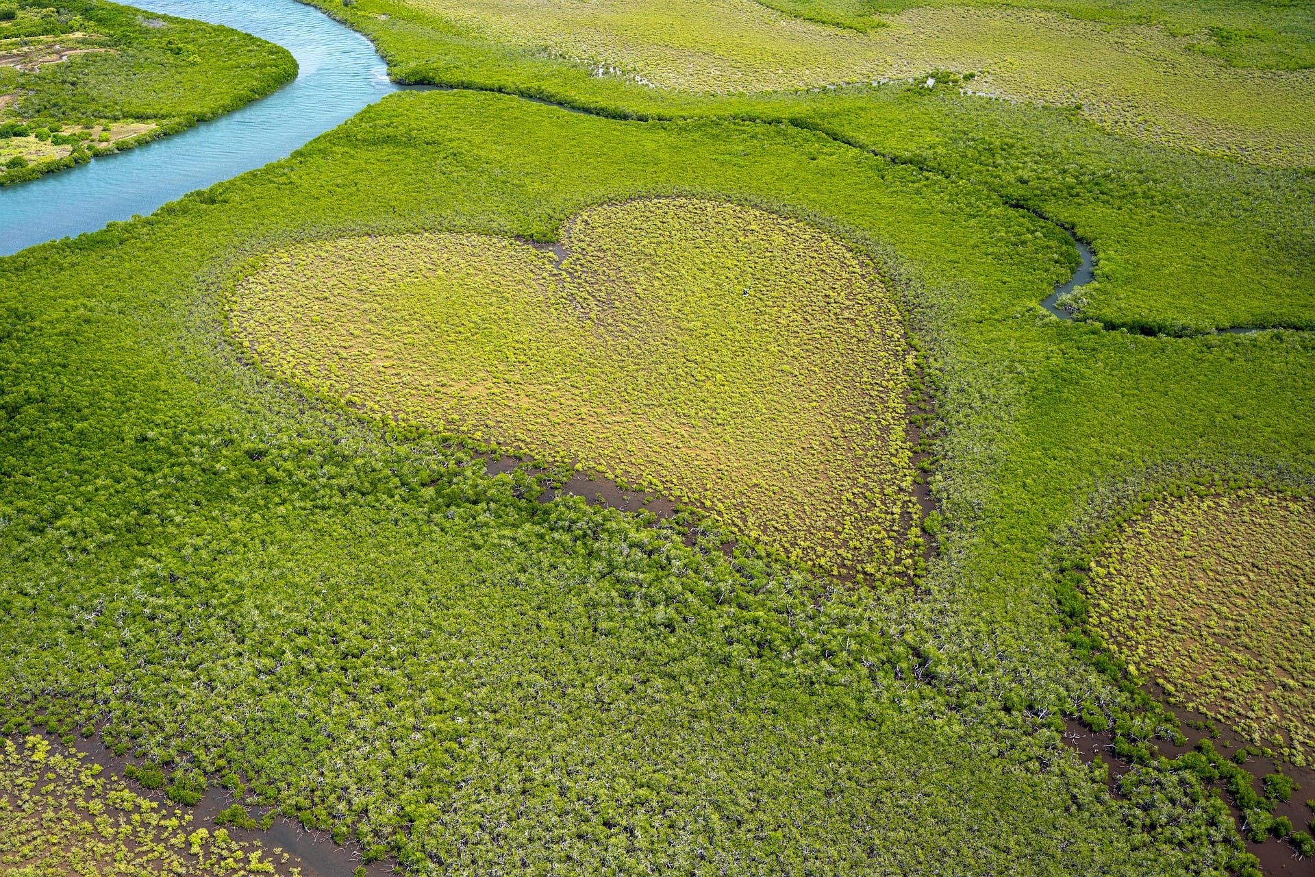 Le Cœur de Voh, clairière en forme de cœur dans la mangrove, vue du ciel.