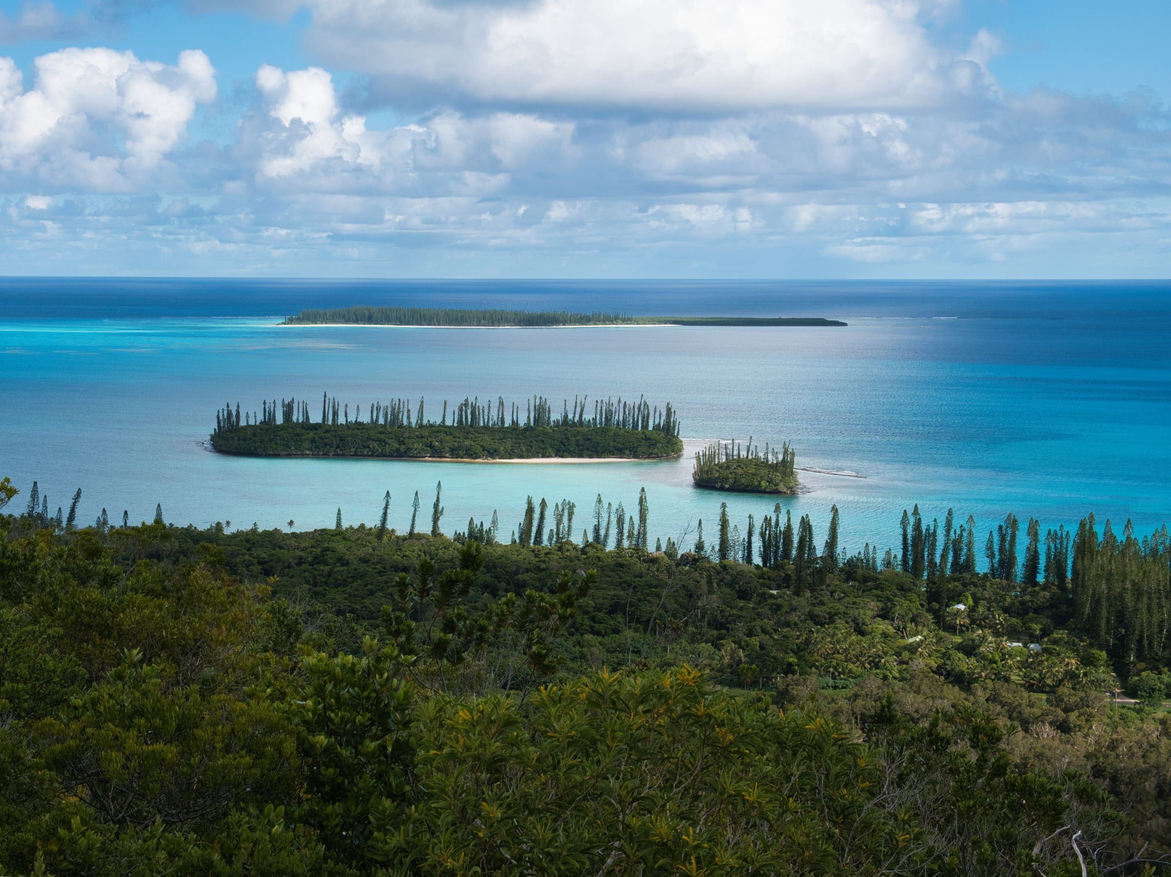 Une presqu'île hérissée de pins colonnaires s'avance dans le lagon calédonien.